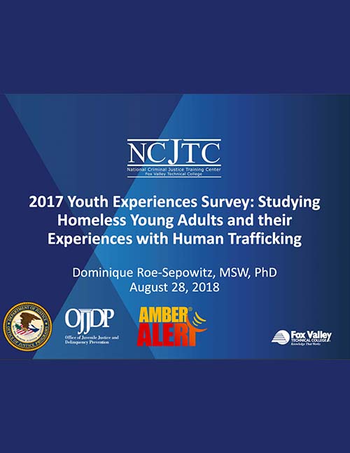 2017 Youth Experiences Survey: Webinar Presentation