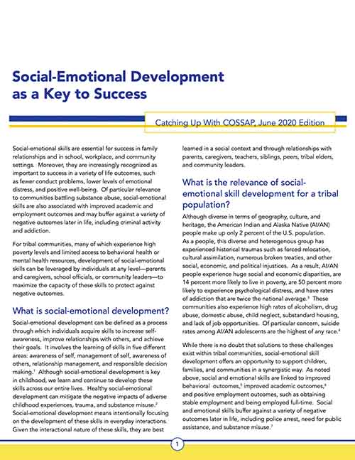 Social Emotional Skill Development as a Key to Success - Resource