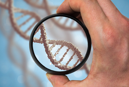 Enhancing Investigations through Genetic Genealogy