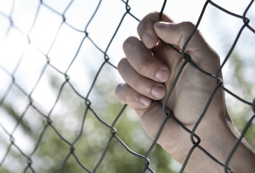 Evolving Strategies in the Fight Against Trafficking