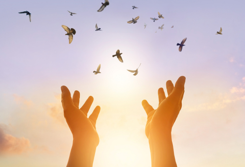 The Good Road of Life - Train the Trainer