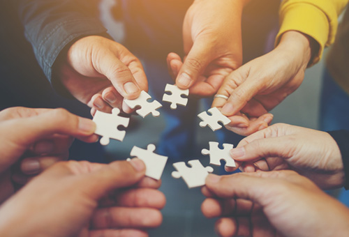 Strengthening Connections: Enhancing Multidisciplinary Teams