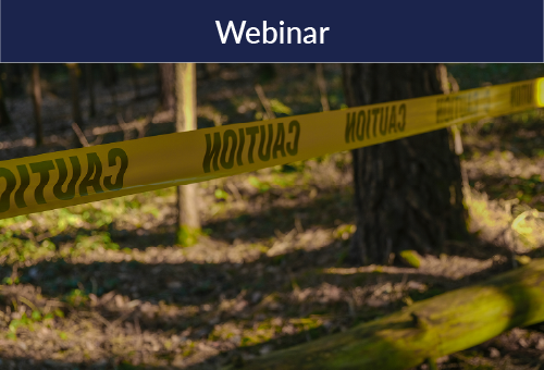 Critical Crime Scene Factors in Missing Child Investigations