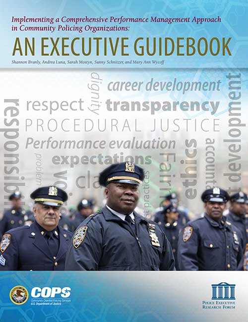 Implementing a Comprehensive Performance Management Approach