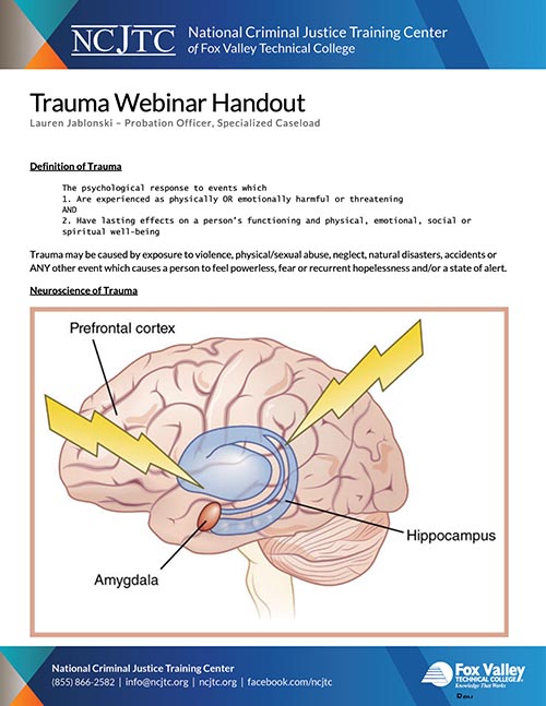 What is Trauma? - webinar handout