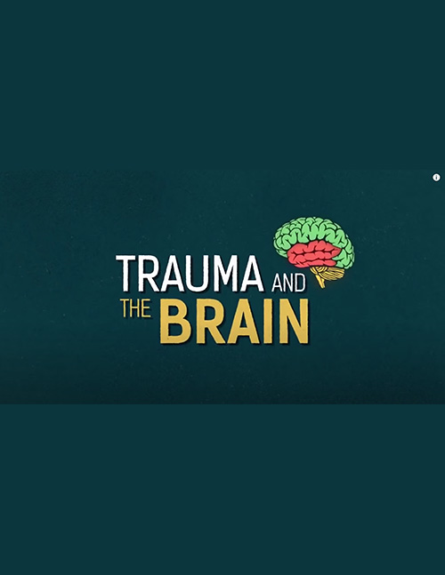 Trauma and The Brain