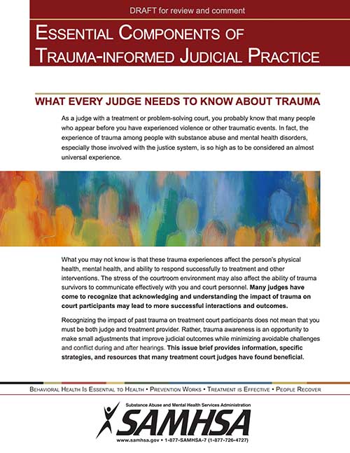 Trauma Informed Practices for Judges