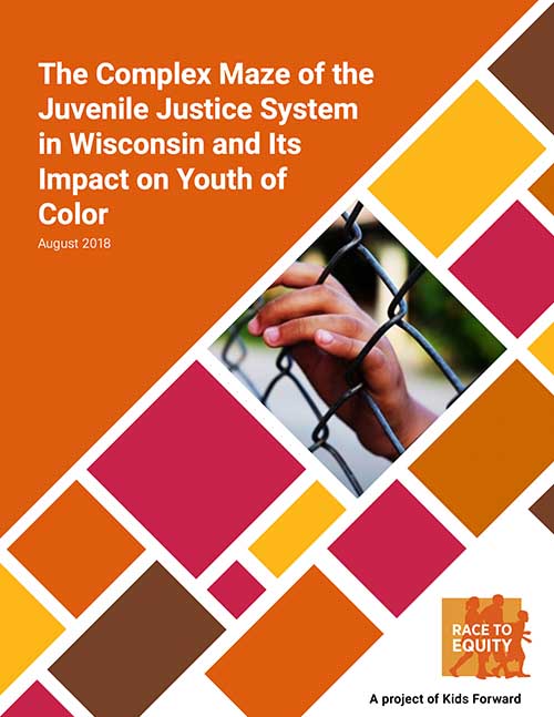 Improving Youth Interactions: Complex Maze of the Juvenile Justice System