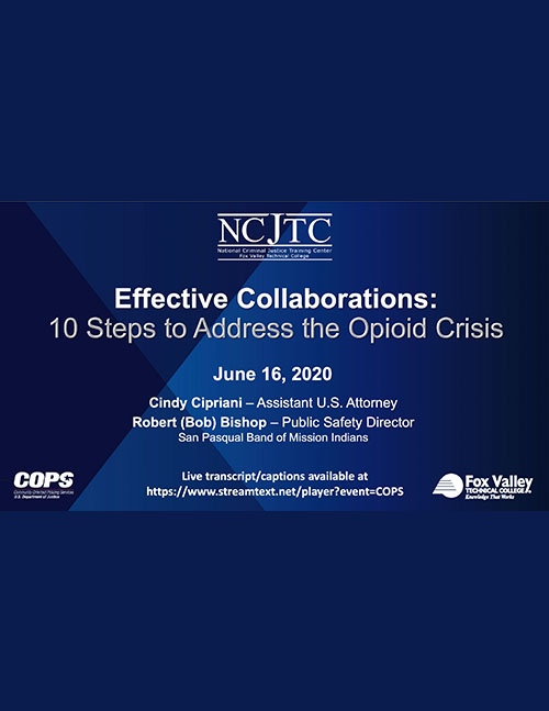 Effective Collaborations 10 Steps To Address The Opioid Crisis Webinar Handout