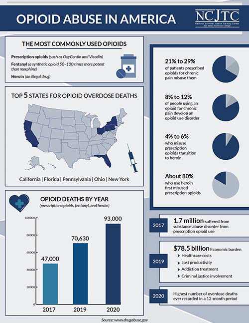 Opioid Abuse in America Image