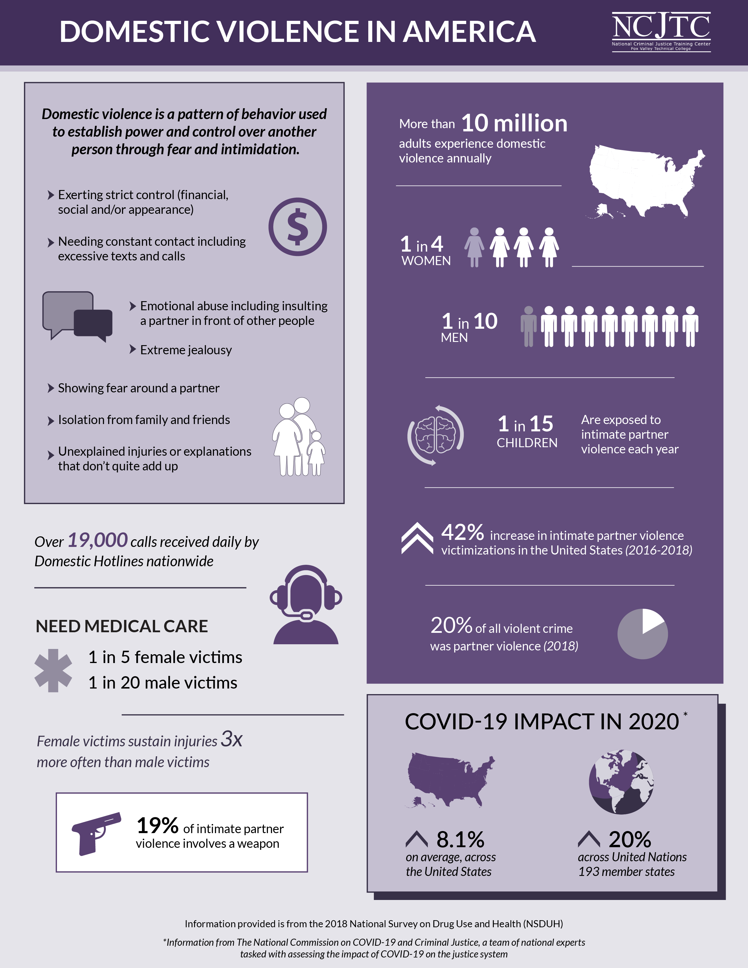 Domestic Violence in America Image