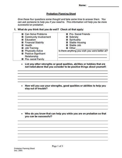 Probation - Case Planning Sheet